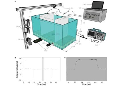 Effects of Electrical Pulse Stimulation on Behaviour and Survival of Marine Benthic Invertebrates